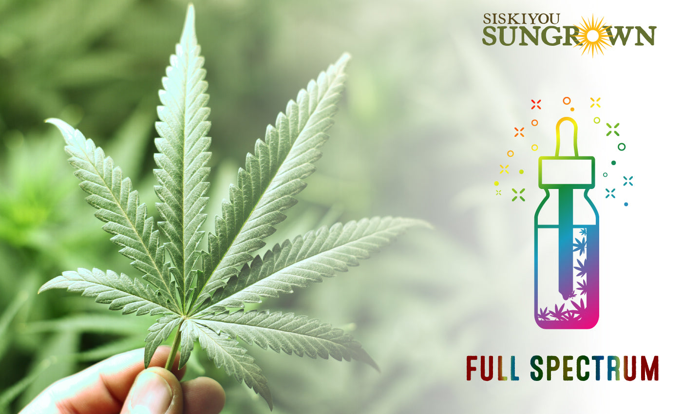 Know your rso organic rso oil benefits siskiyou sungrown