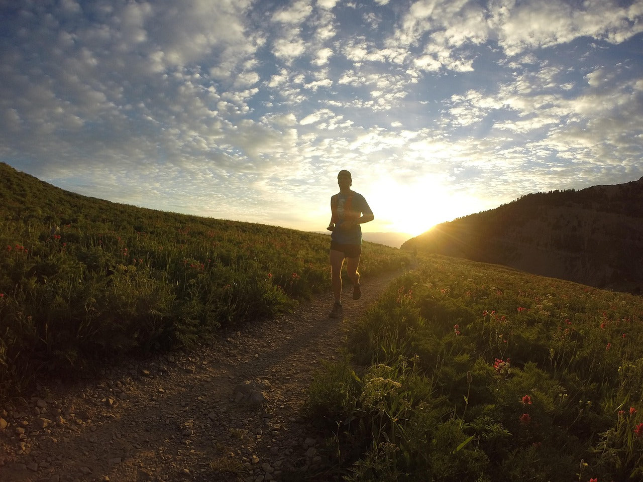 Runner on a mountain trail experiencing the euphoric calm of Runner's High