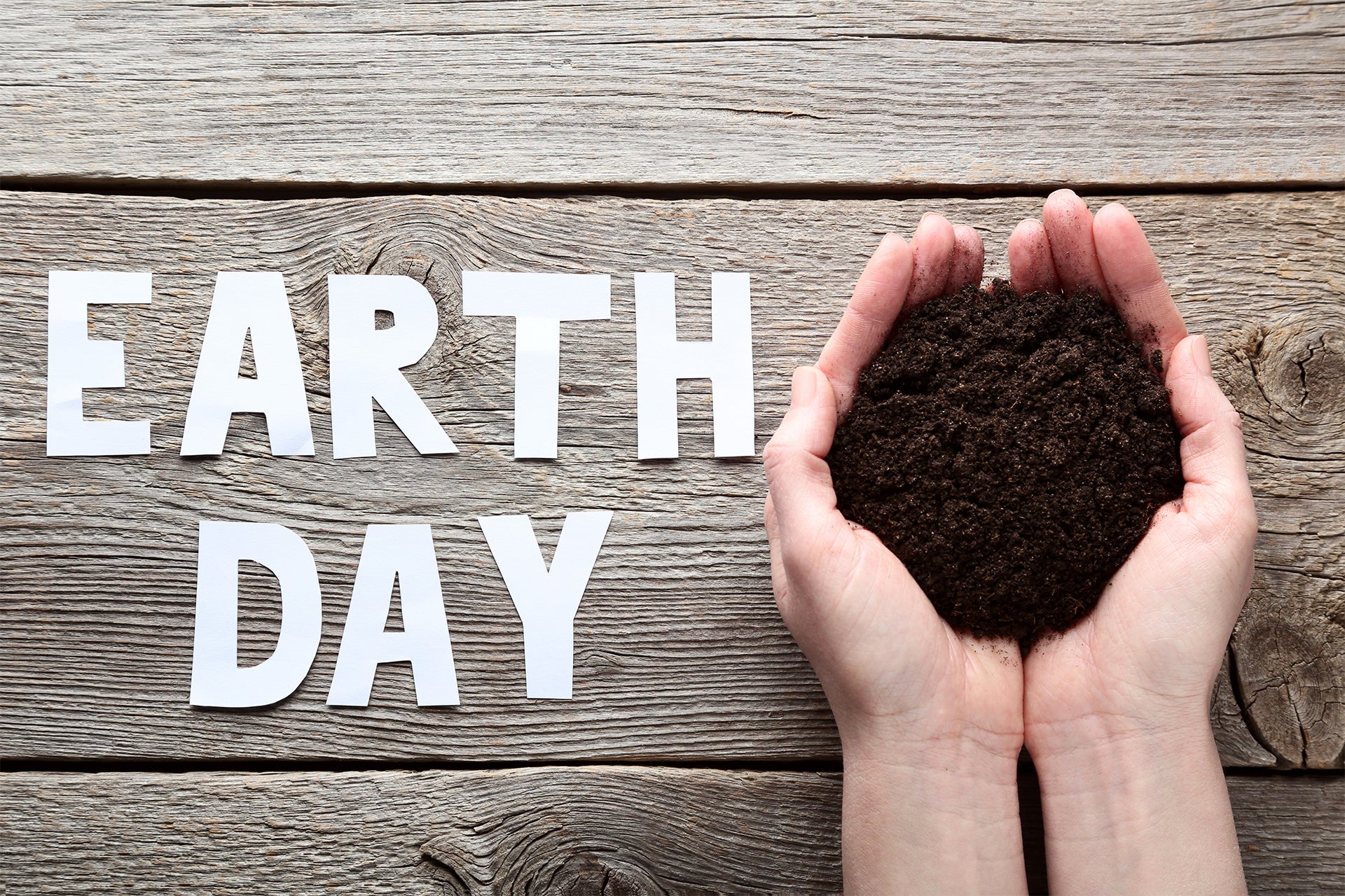 Earth Day Every Day.  Every Little Thing.