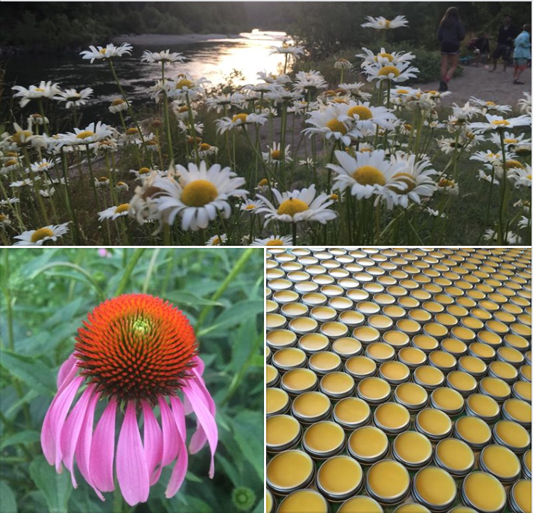 sol blends x siskiyou sungrown