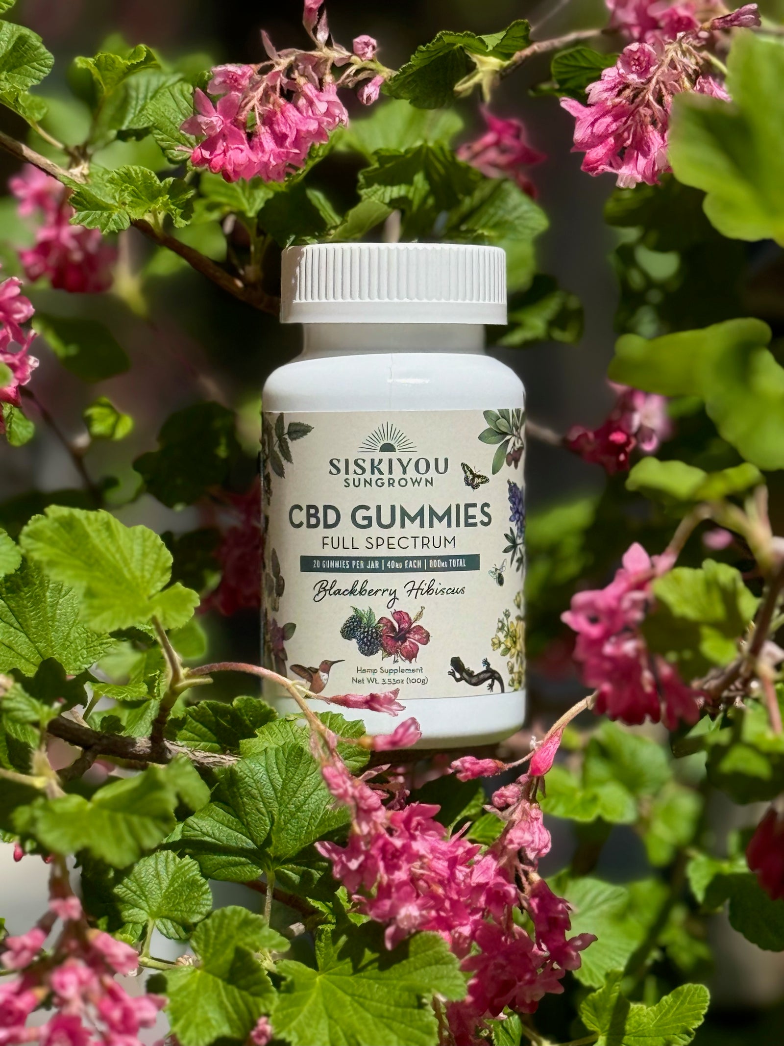CBD Gummies - Blackberry Hibiscus